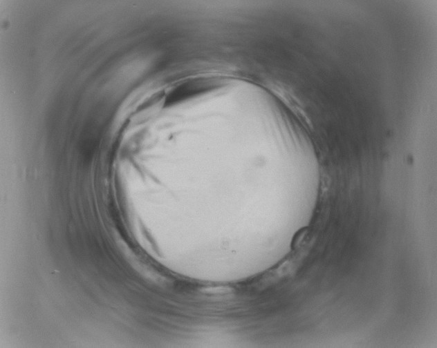 X0000060740053200512081928