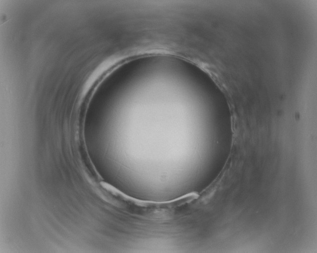 X0000060740056200512081928