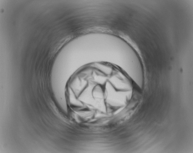 X0000060740057200512081928