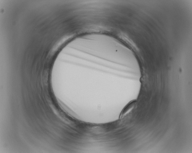 X0000060740058200512081928