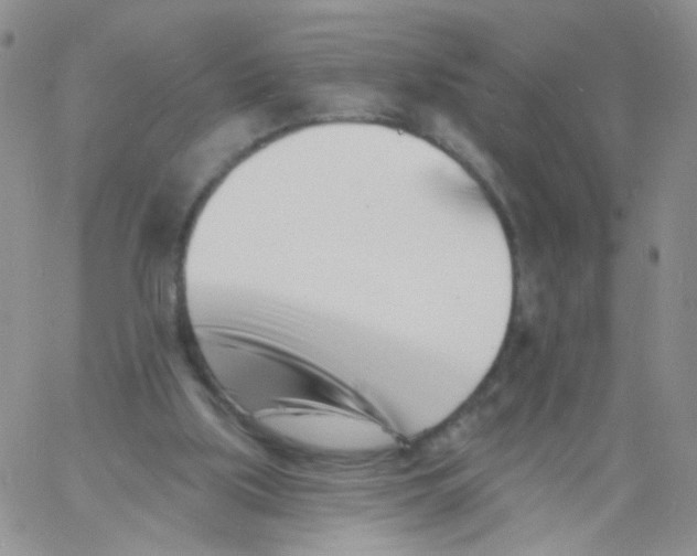 X0000060740059200512081928