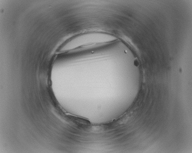 X0000060740060200512081928