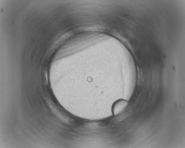 X0000060740061200512081928