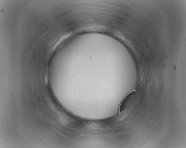 X0000060740062200512081928