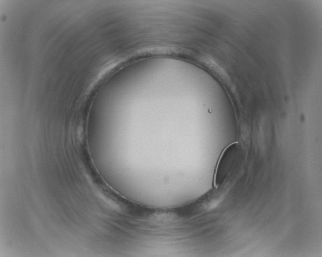 X0000060740063200512081928