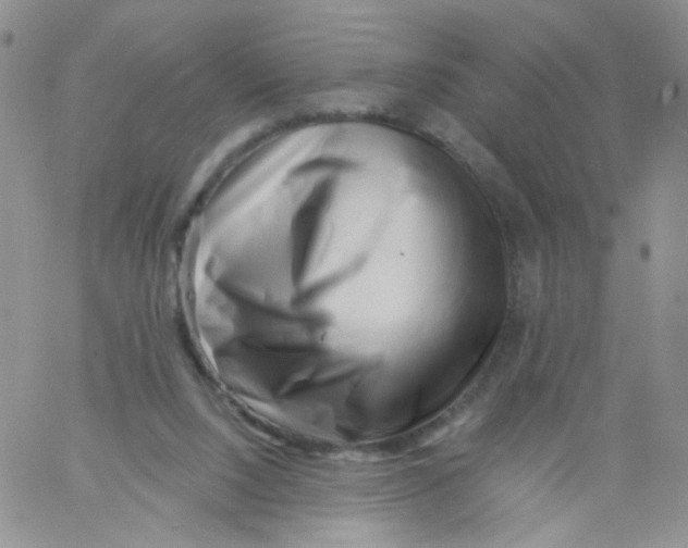 X0000060740064200512081928