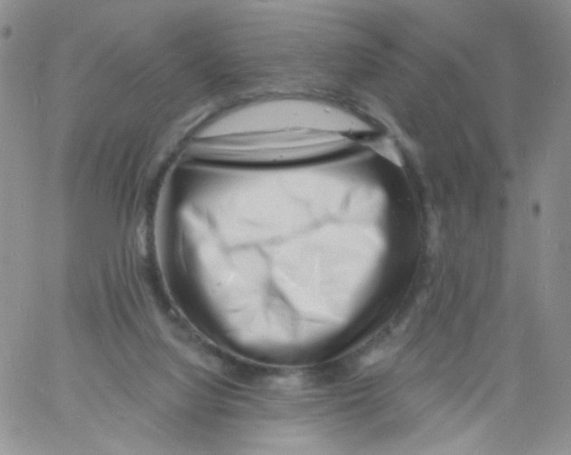 X0000060740068200512081928