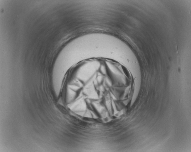 X0000060740071200512081928