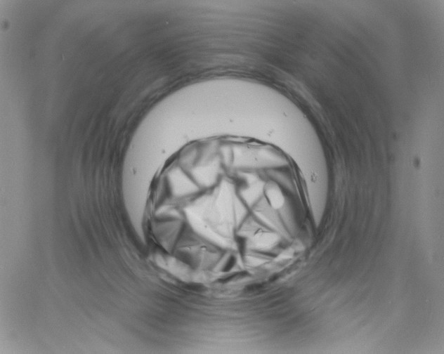 X0000060740073200512081928