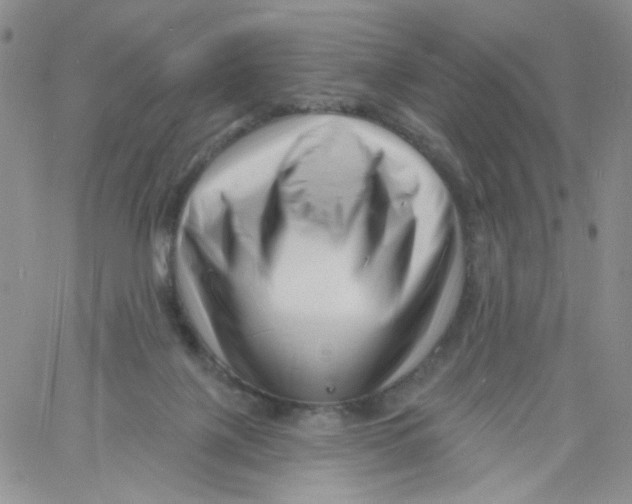 X0000060740075200512081928