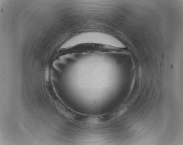 X0000060740076200512081928