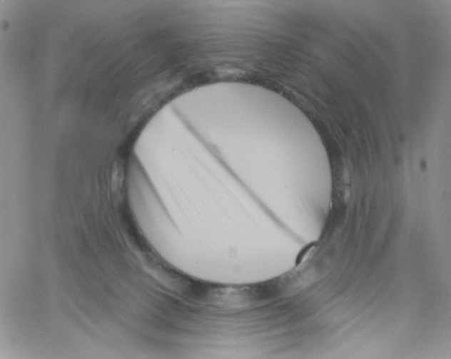 X0000060740082200512081928