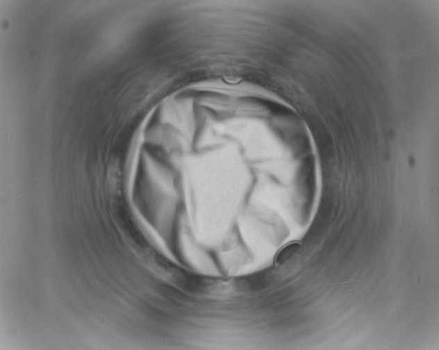 X0000060740083200512081928