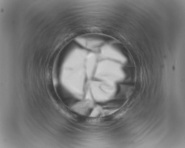 X0000060740084200512081928