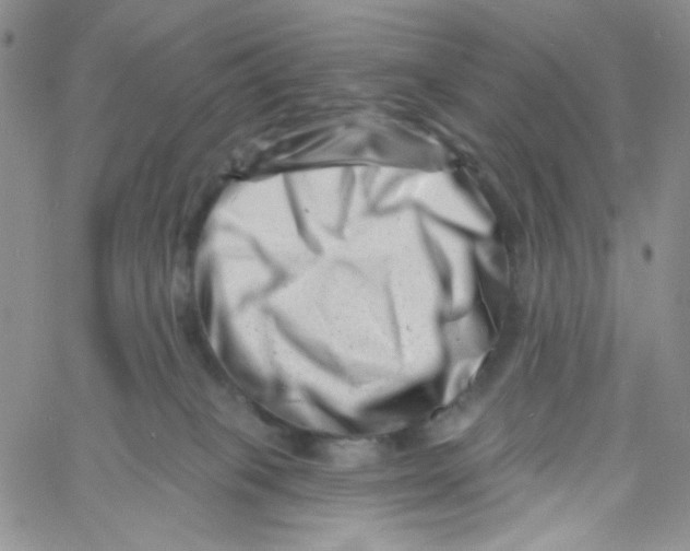 X0000060740085200512081928