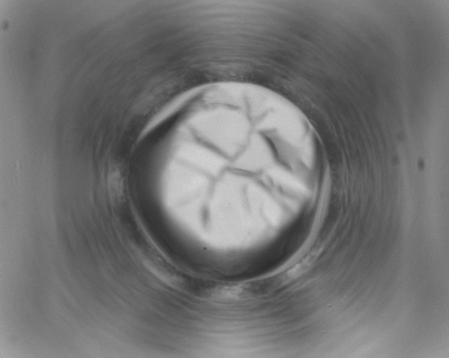 X0000060740086200512081928