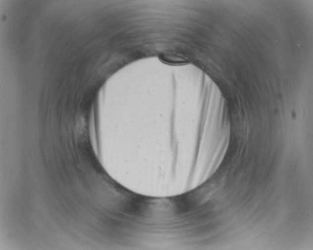 X0000060740087200512081928