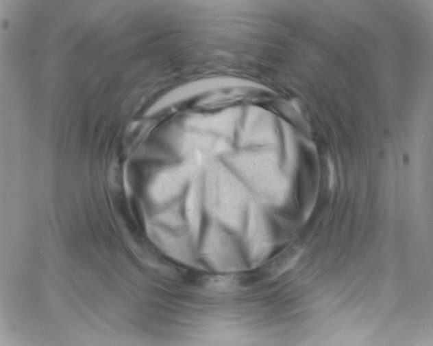 X0000060740088200512081928