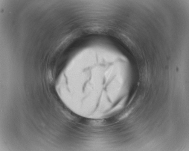 X0000060740089200512081928