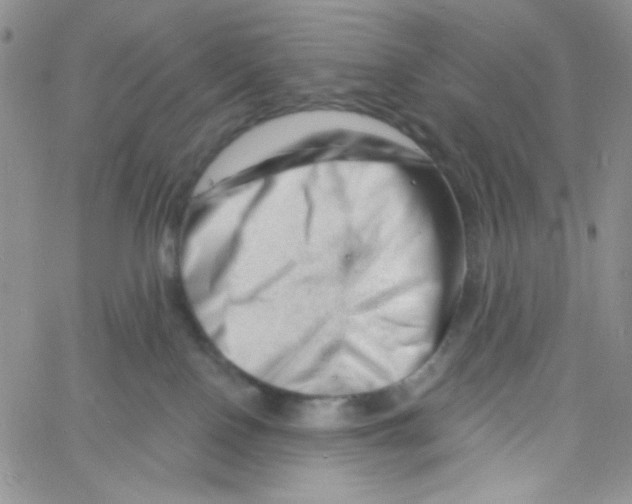 X0000060740090200512081928