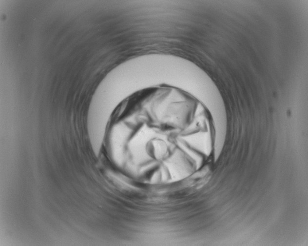 X0000060740091200512081928