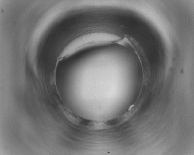 X0000060740093200512081929