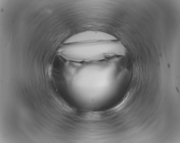 X0000060740094200512081929