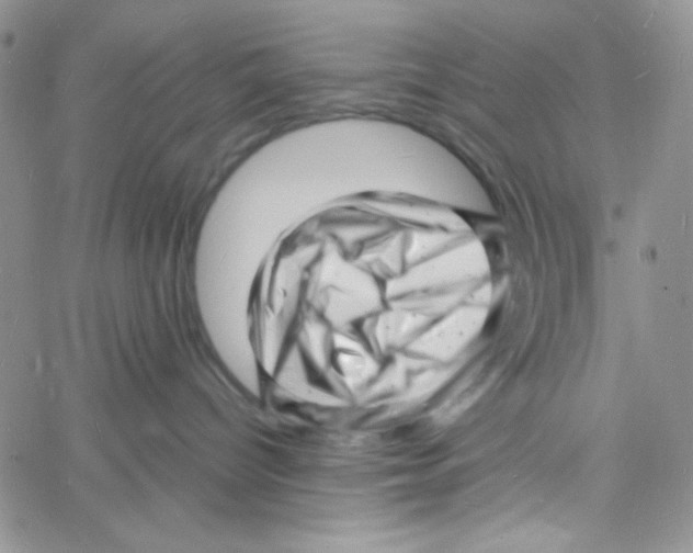 X0000060740096200512081929