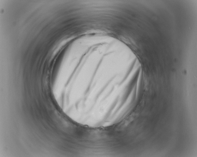 X0000060740098200512081928