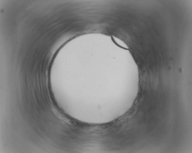 X0000060740100200512081928