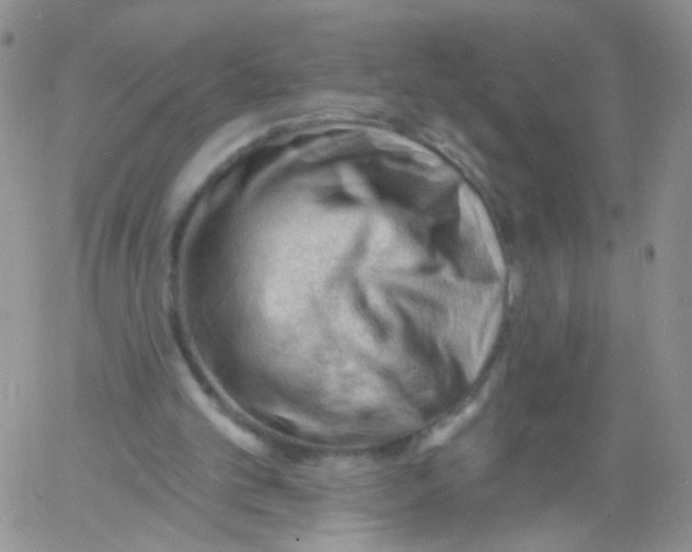 X0000060740101200512081928