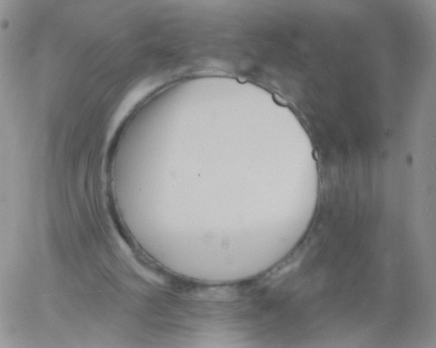 X0000060740102200512081928