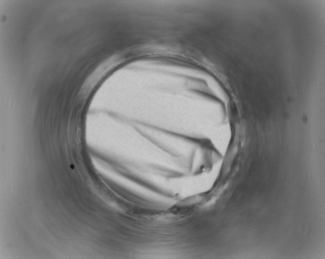 X0000060740103200512081928