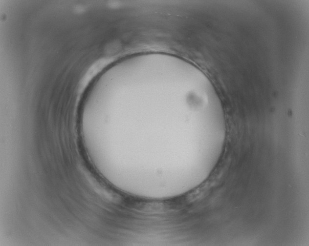 X0000060740104200512081928