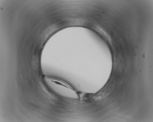 X0000060740107200512081928