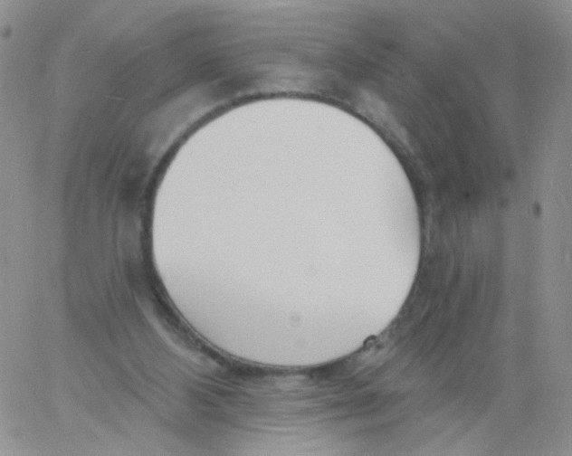 X0000060740108200512081928