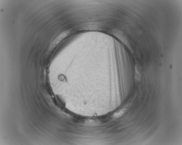 X0000060740109200512081928