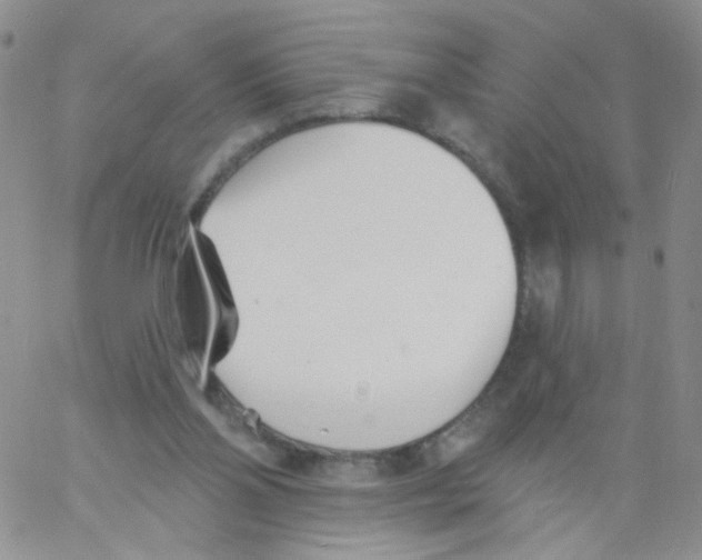 X0000060740110200512081928