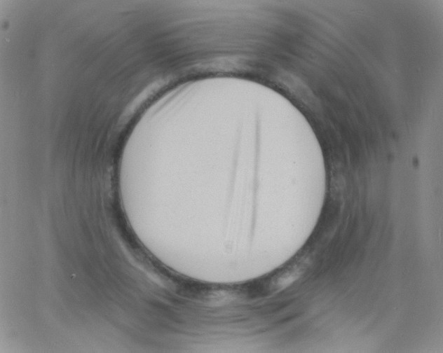 X0000060740111200512081928