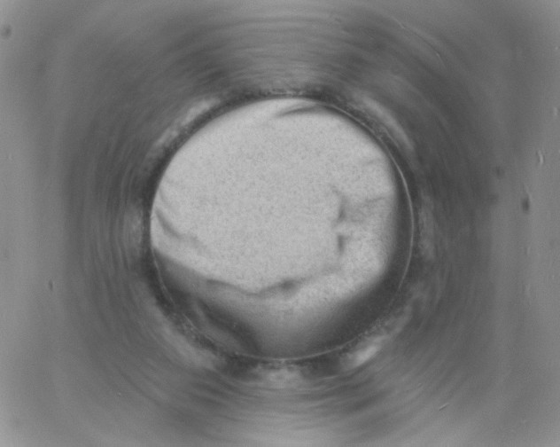 X0000060740113200512081928