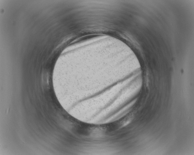 X0000060740115200512081928