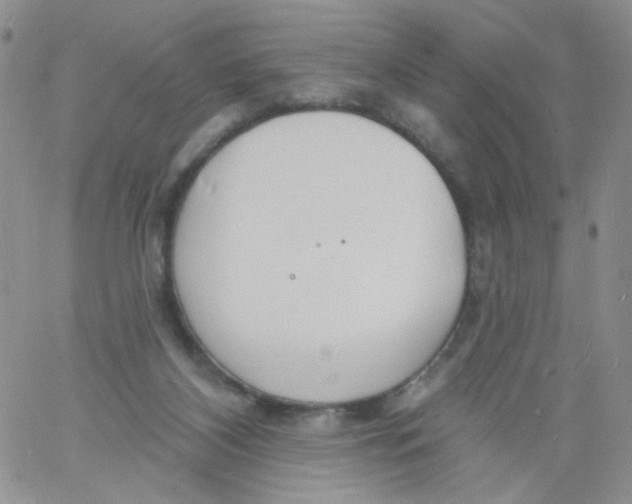 X0000060740116200512081927