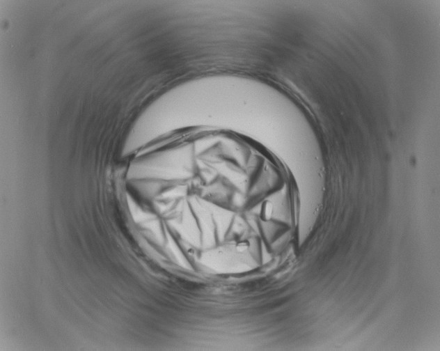 X0000060740117200512081927