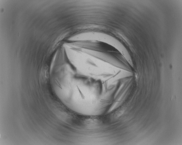 X0000060740119200512081927