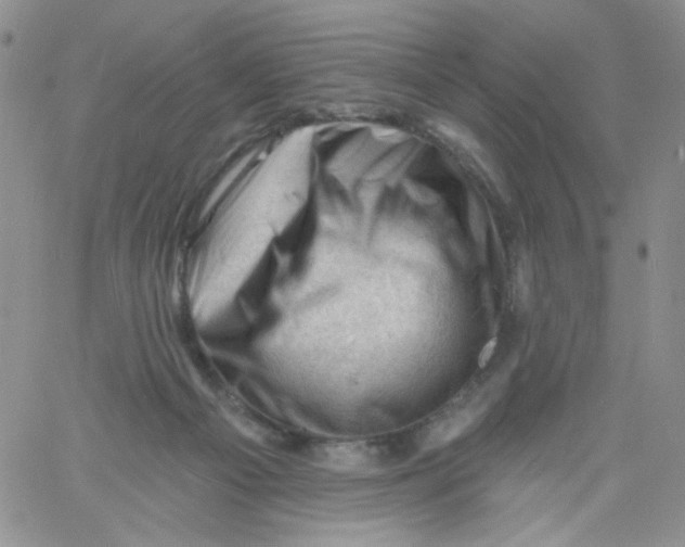 X0000060740121200512081927