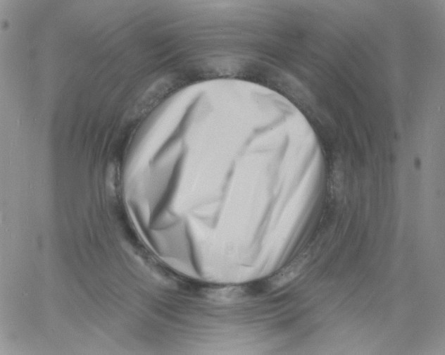 X0000060740122200512081927