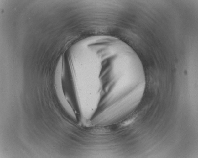 X0000060740123200512081927