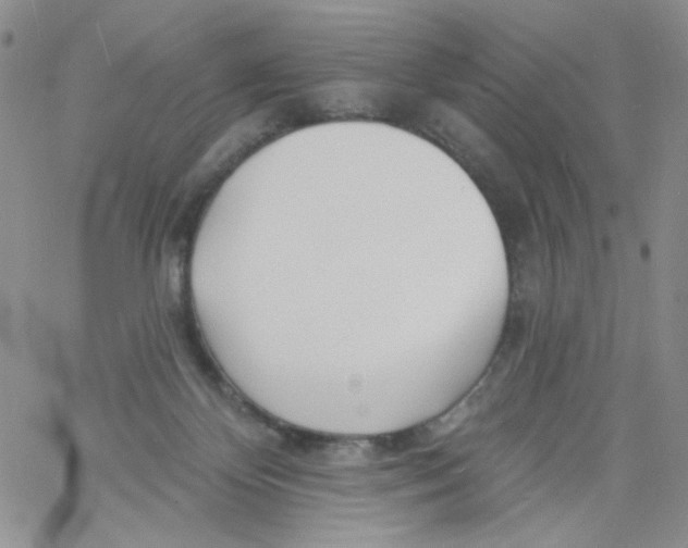 X0000060740124200512081927