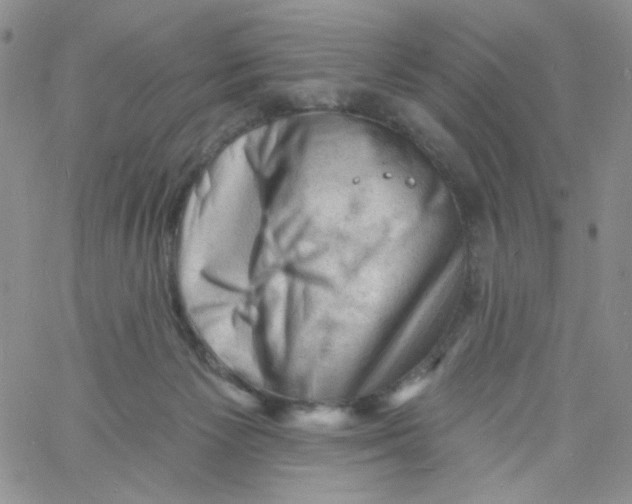 X0000060740125200512081927