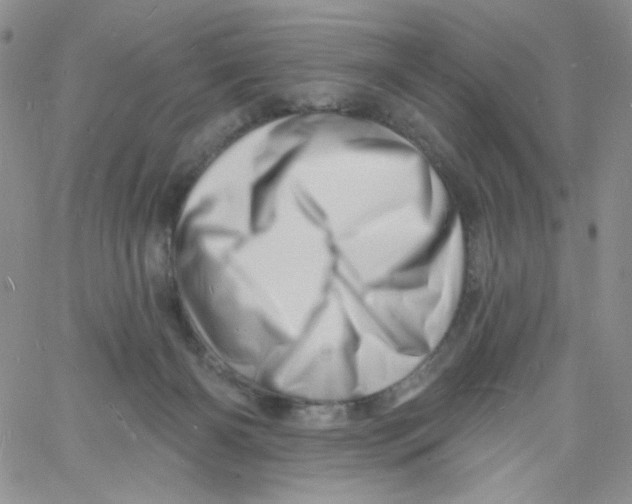 X0000060740126200512081927